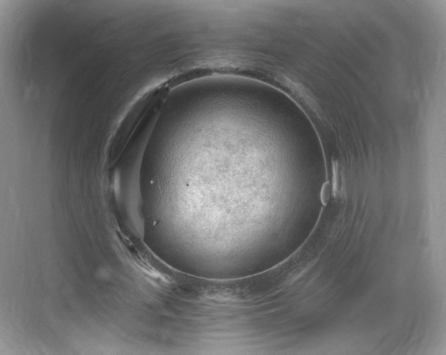 X0000068830723200605081212