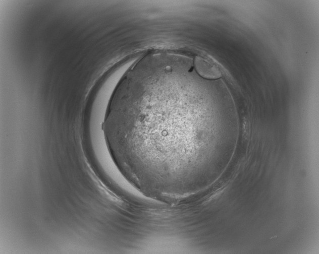 X0000068830725200605081212