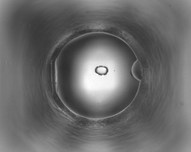 X0000068830731200605081212