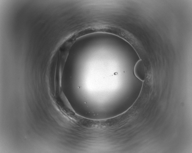 X0000068830732200605081212