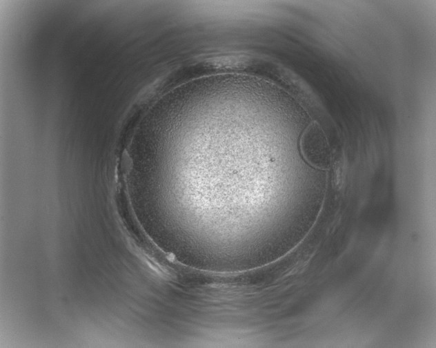 X0000068830733200605081212