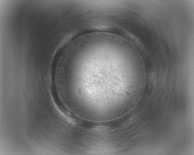 X0000068830734200605081213