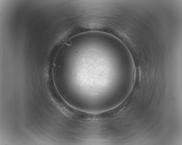 X0000068830735200605081213