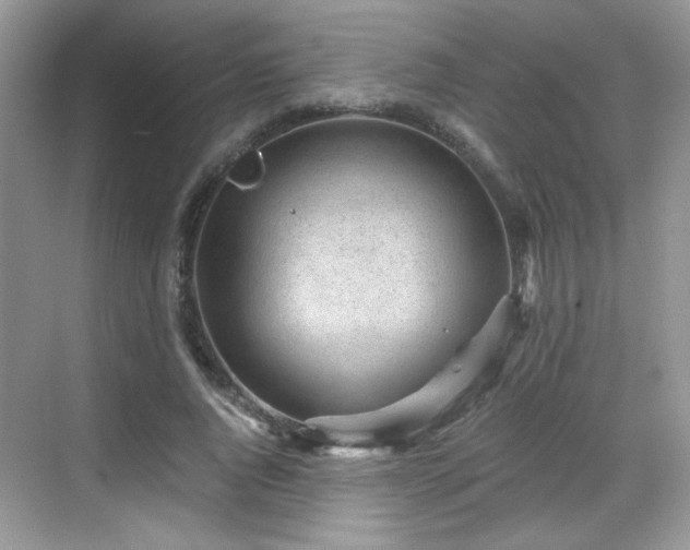 X0000068830736200605081213