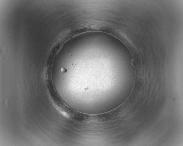 X0000068830738200605081213