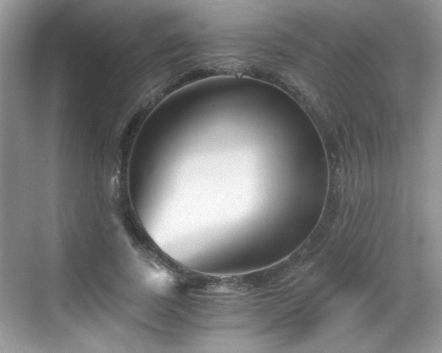 X0000068830739200605081213