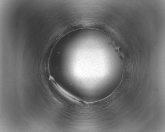 X0000068830740200605081213