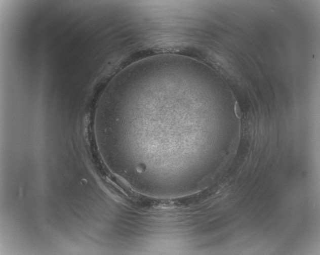 X0000068830742200605081213