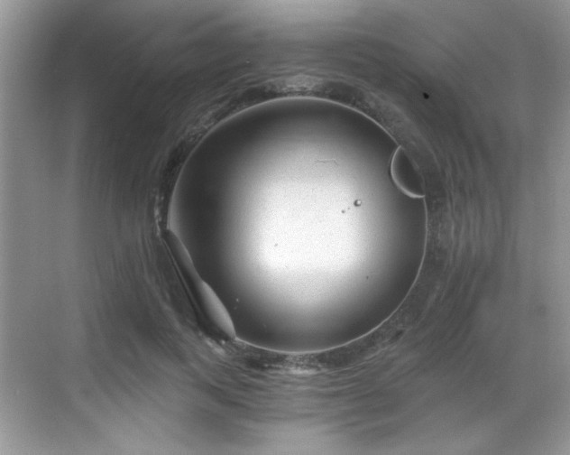 X0000068830743200605081213