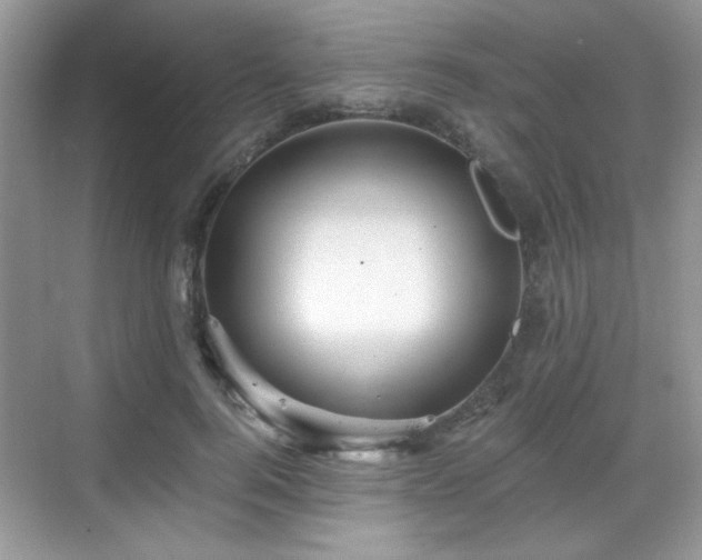 X0000068830744200605081213