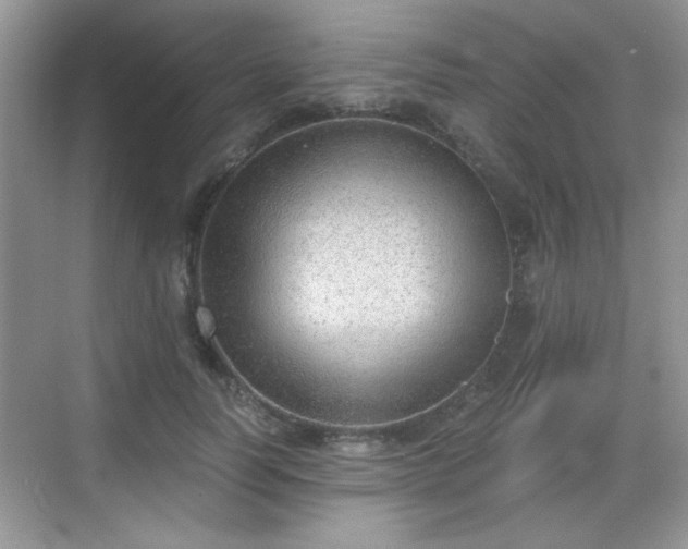 X0000068830746200605081213