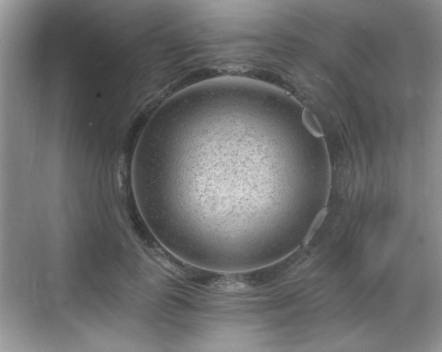 X0000068830747200605081213