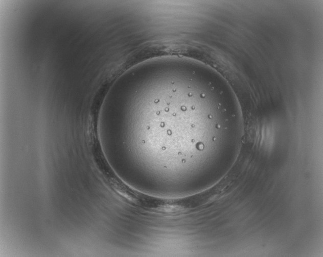 X0000068830748200605081213