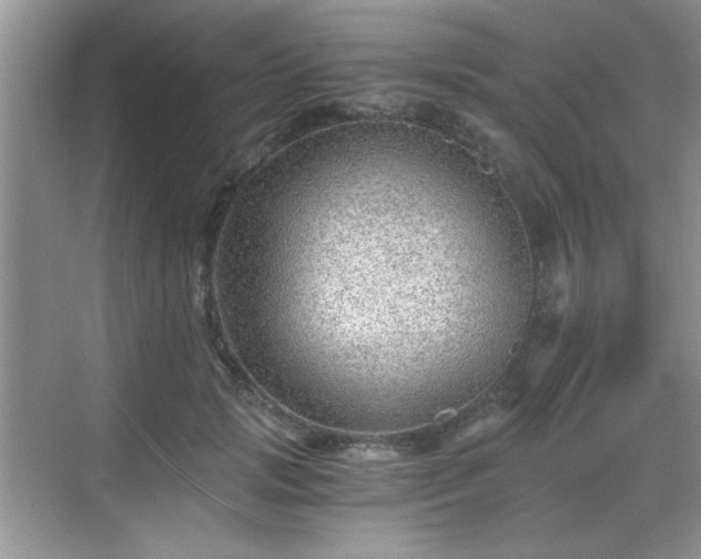 X0000068830749200605081213