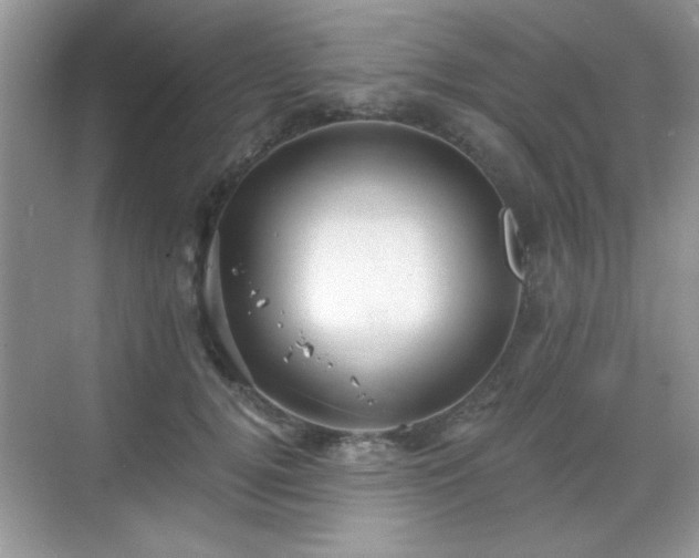 X0000068830752200605081213