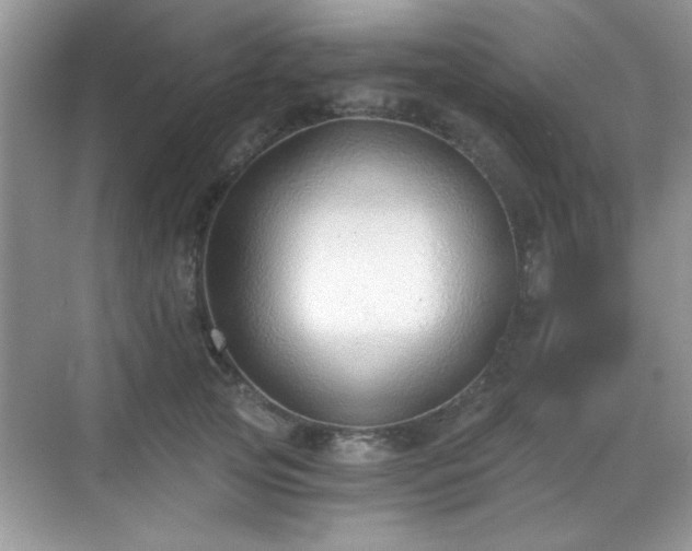 X0000068830753200605081213