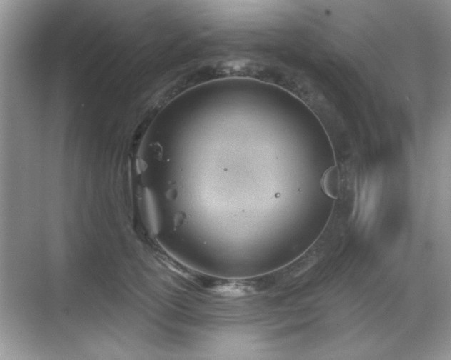 X0000068830754200605081213