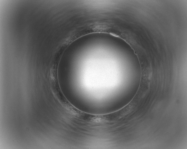 X0000068830755200605081213