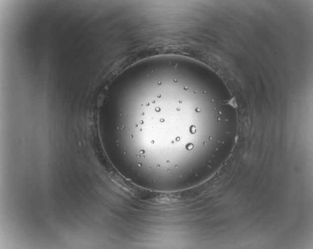 X0000068830756200605081213