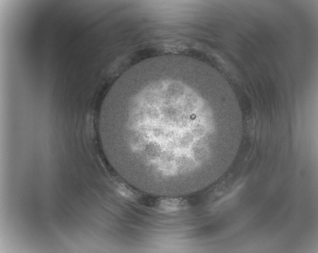 X0000068830757200605081213