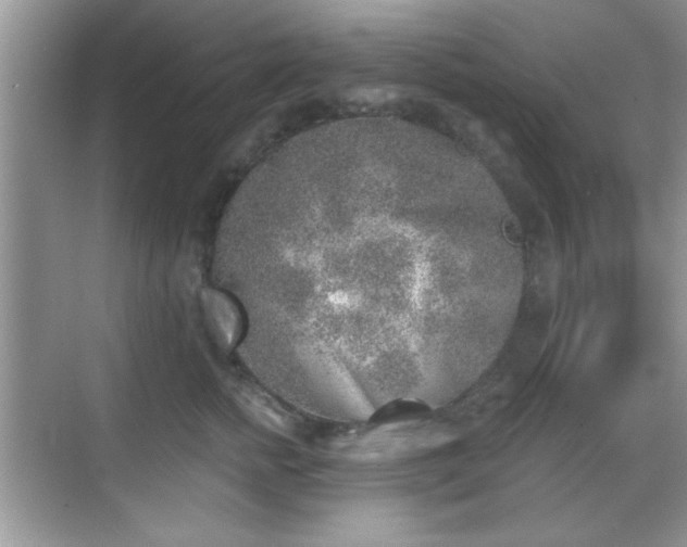 X0000068830758200605081213