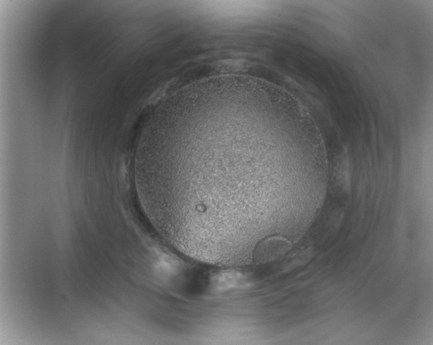 X0000068830759200605081213