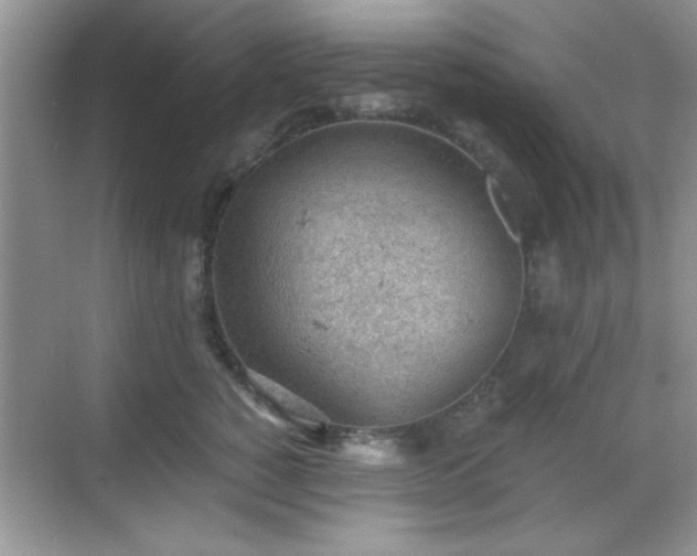 X0000068830760200605081213