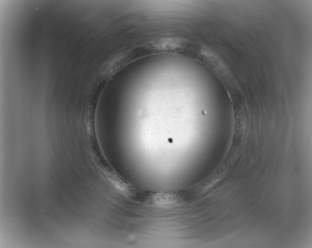 X0000068830762200605081213