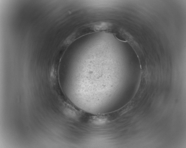 X0000068830763200605081213