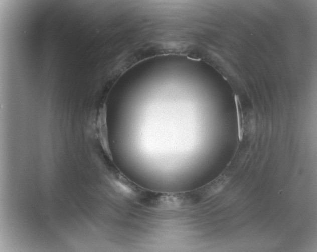 X0000068830764200605081213