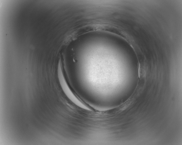 X0000068830766200605081213