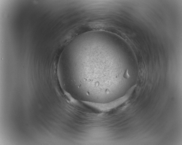 X0000068830767200605081213