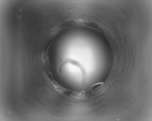 X0000068830768200605081213