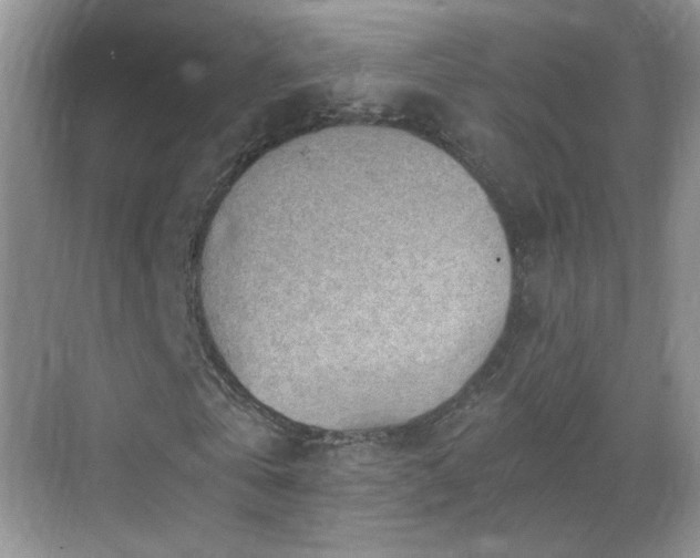 X0000068830769200605081212