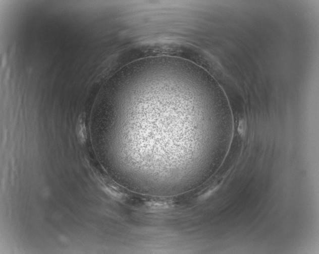 X0000068830771200605081212