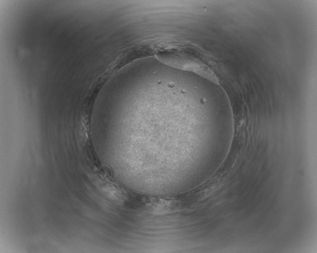 X0000068830772200605081212