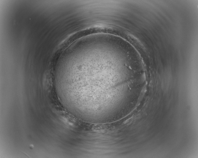 X0000068830776200605081212