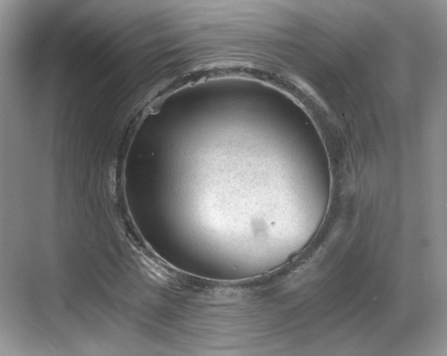 X0000068830777200605081212