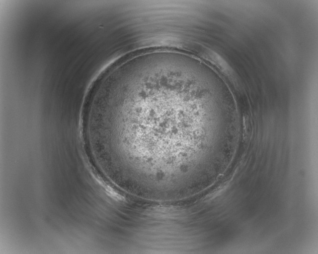 X0000068830780200605081212