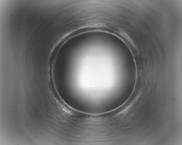 X0000068830781200605081212