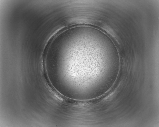 X0000068830782200605081212