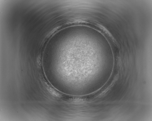 X0000068830785200605081212