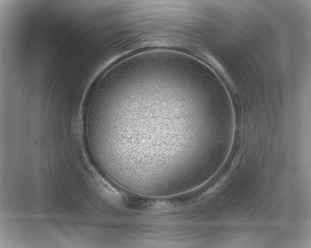 X0000068830787200605081212