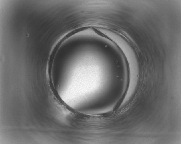 X0000068830788200605081212