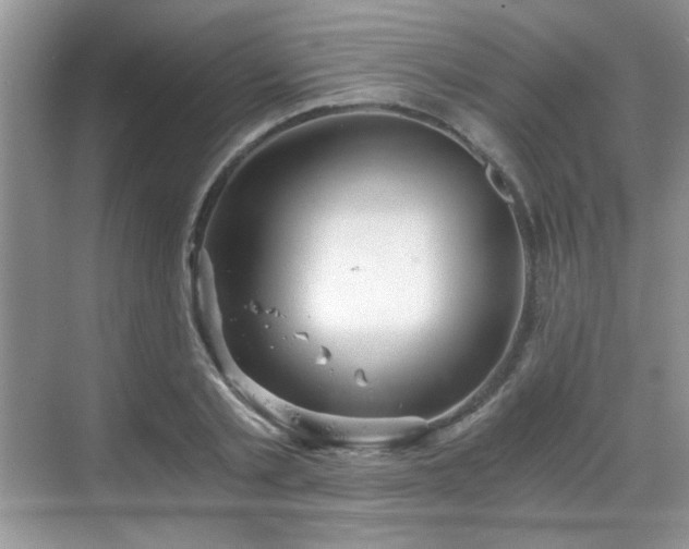 X0000068830789200605081212