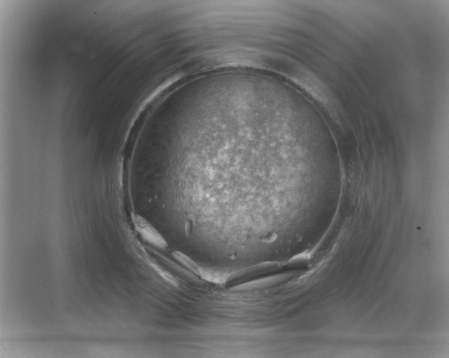 X0000068830790200605081212