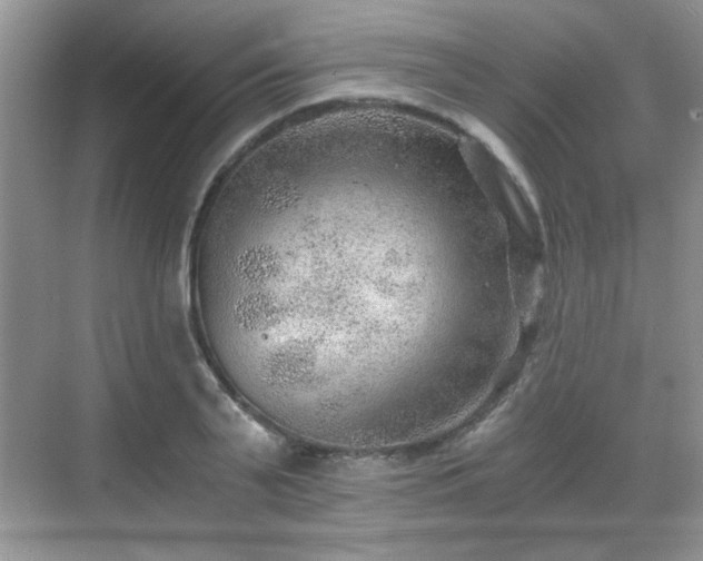 X0000068830791200605081212