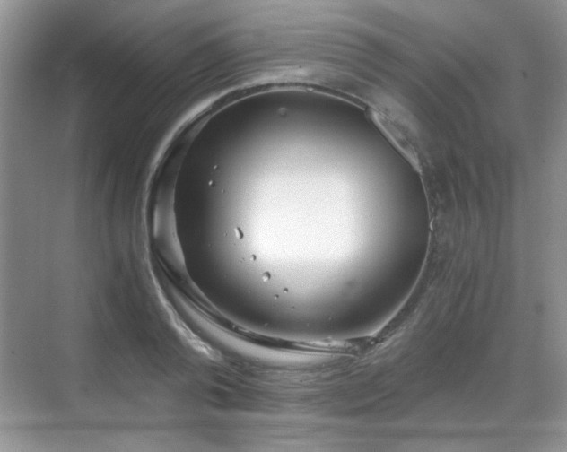 X0000068830792200605081212