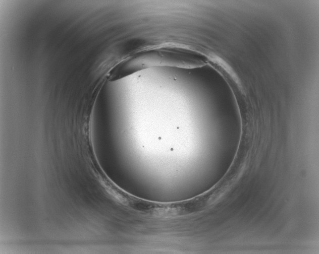 X0000068830793200605081212