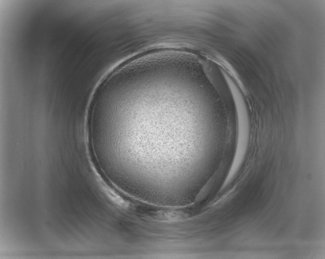 X0000068830795200605081212